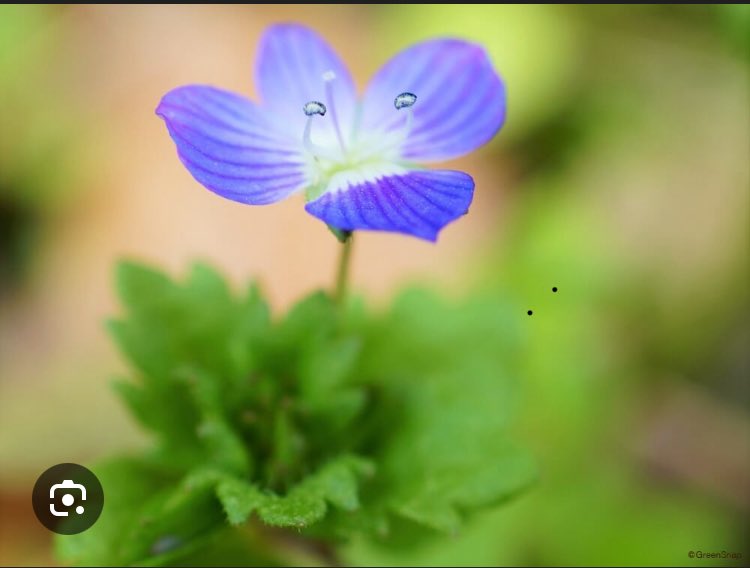 朝墓松夫 tweet media