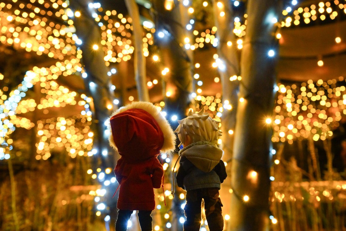 せいじゅ tweet media