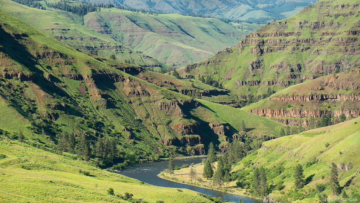 The Fly Fishing Place tweet media