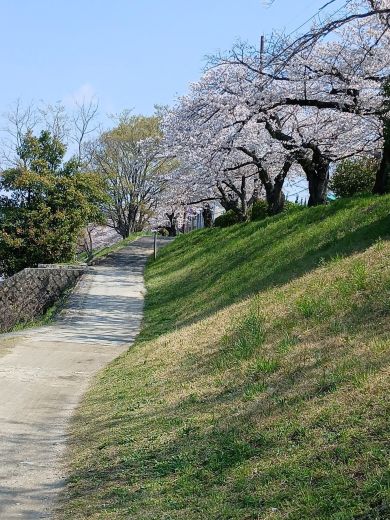 みいちゃん (mie) tweet media