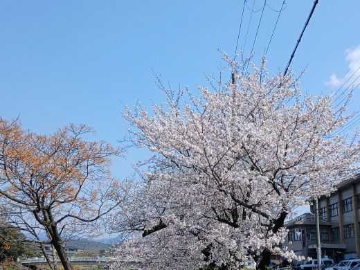 みいちゃん (mie) tweet media