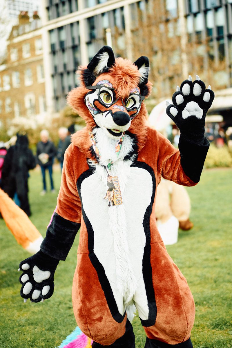 KurtdeVos 🇬🇧🦊 tweet media