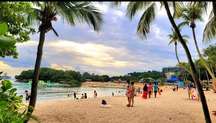 ميار tweet media