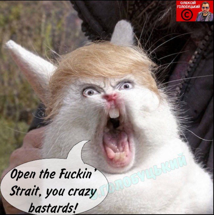 Berlin771 tweet media