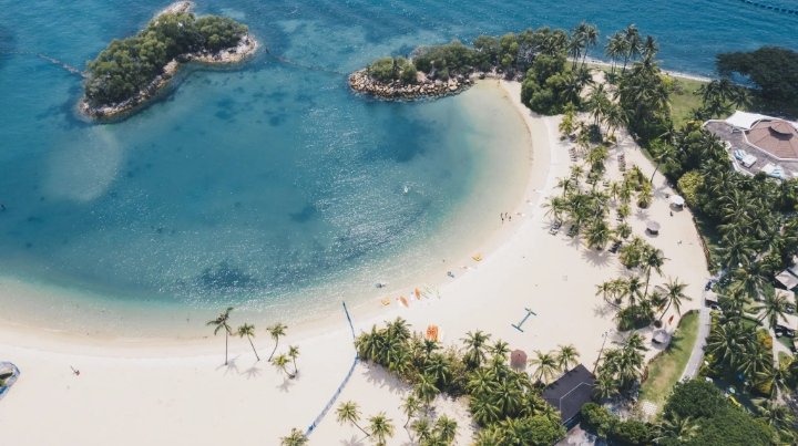 ميار tweet media