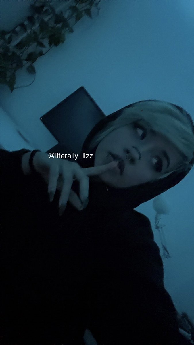 『 Z 』 tweet media