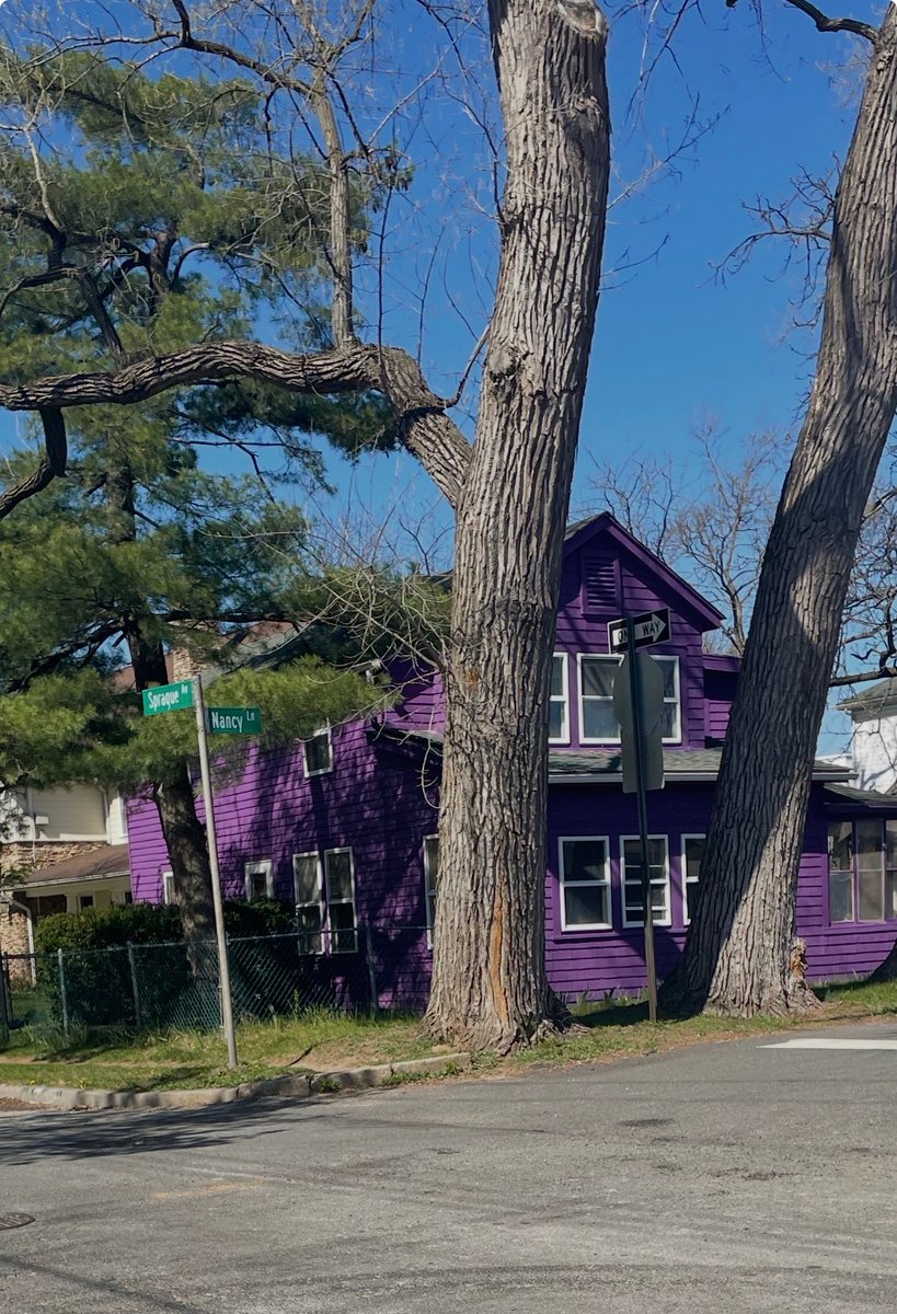 Krysta 🌙 tweet media