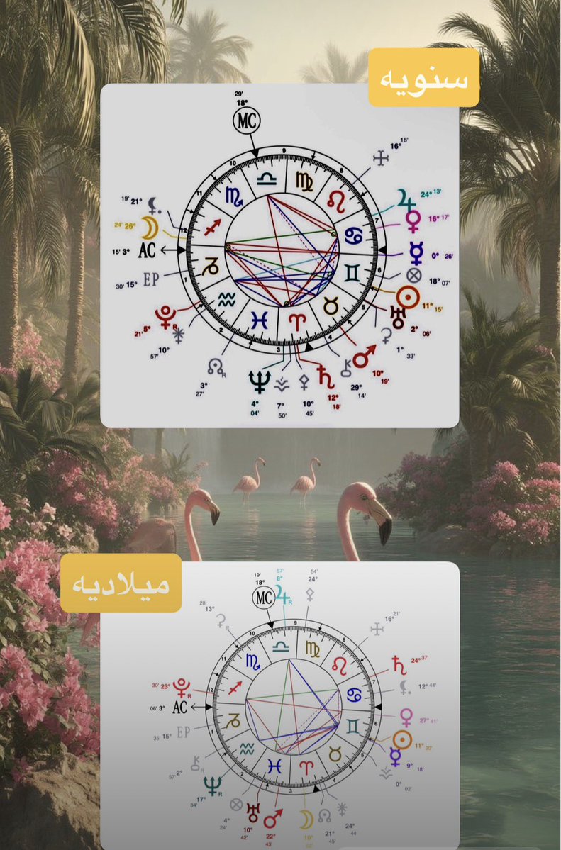 الثريه رغد tweet media