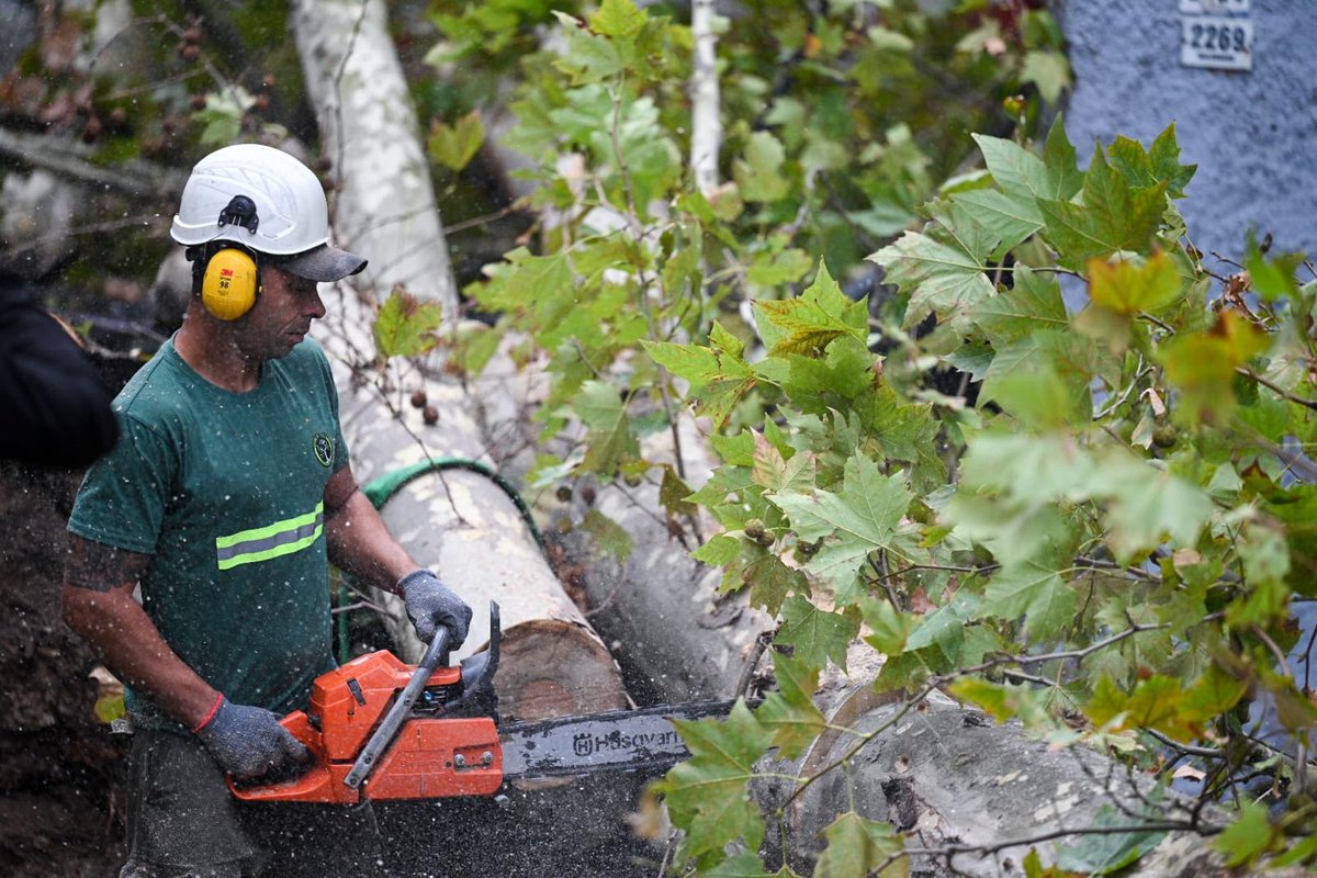 Diego Olivera Couto tweet media