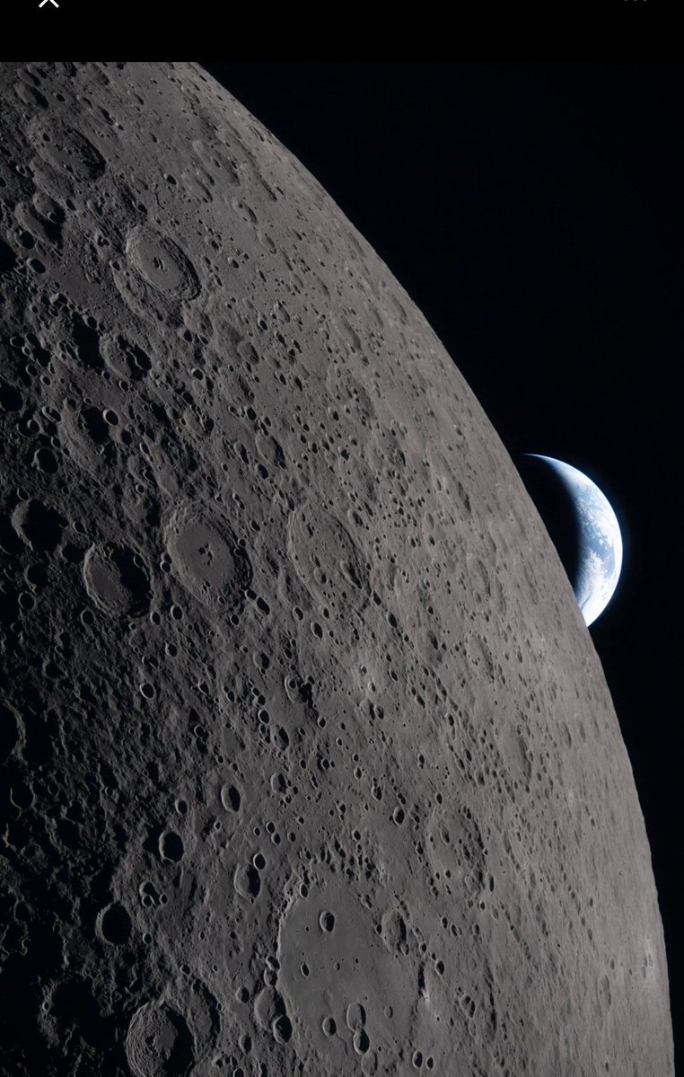 Sonia Lloret tweet media