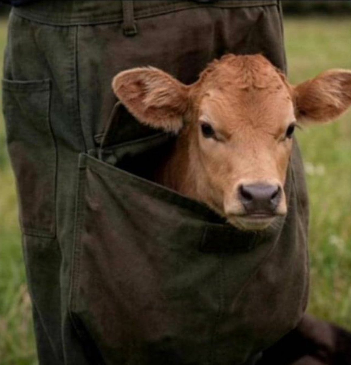 Ray Mond tweet media