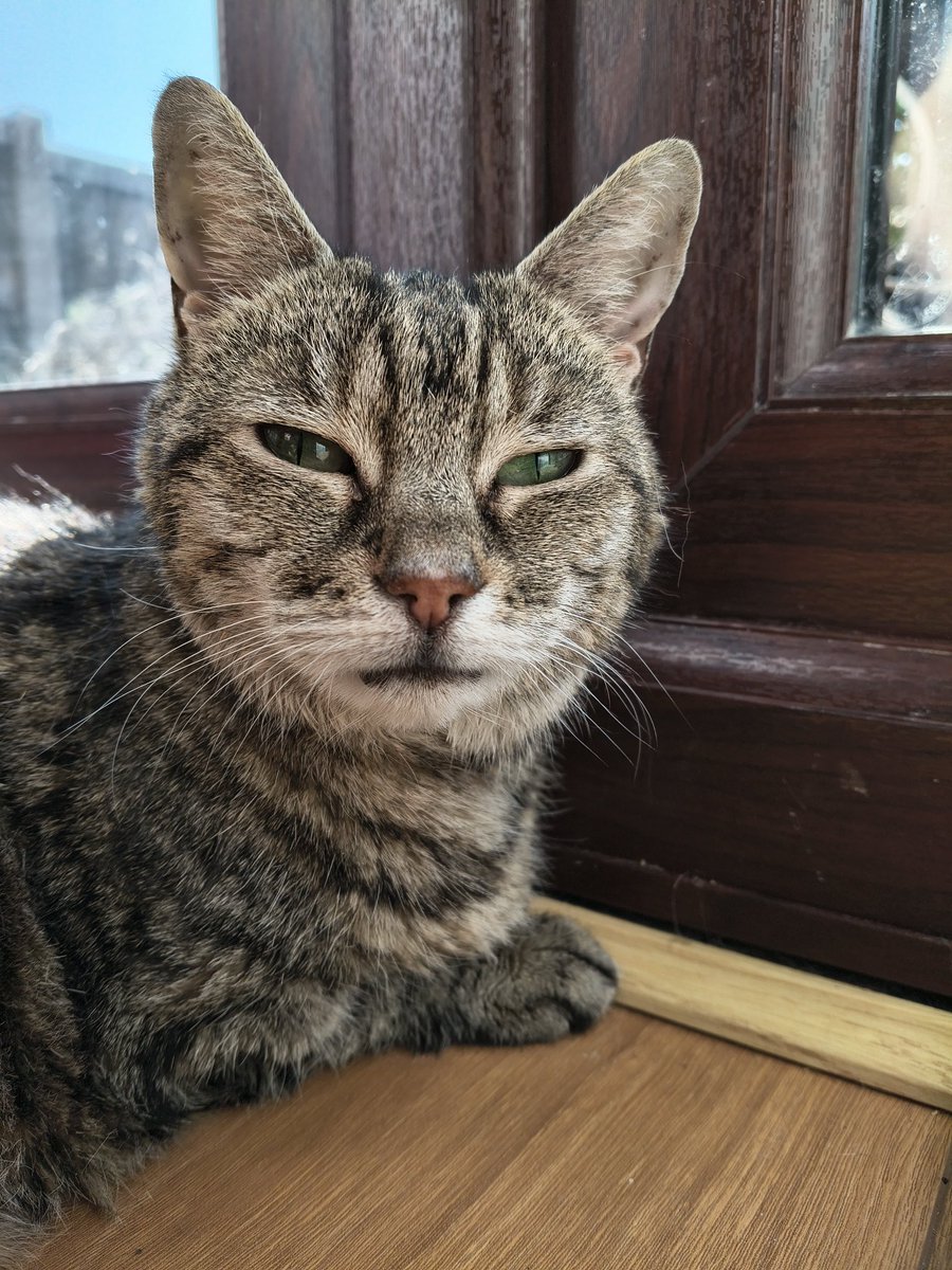 Alex Merry tweet media