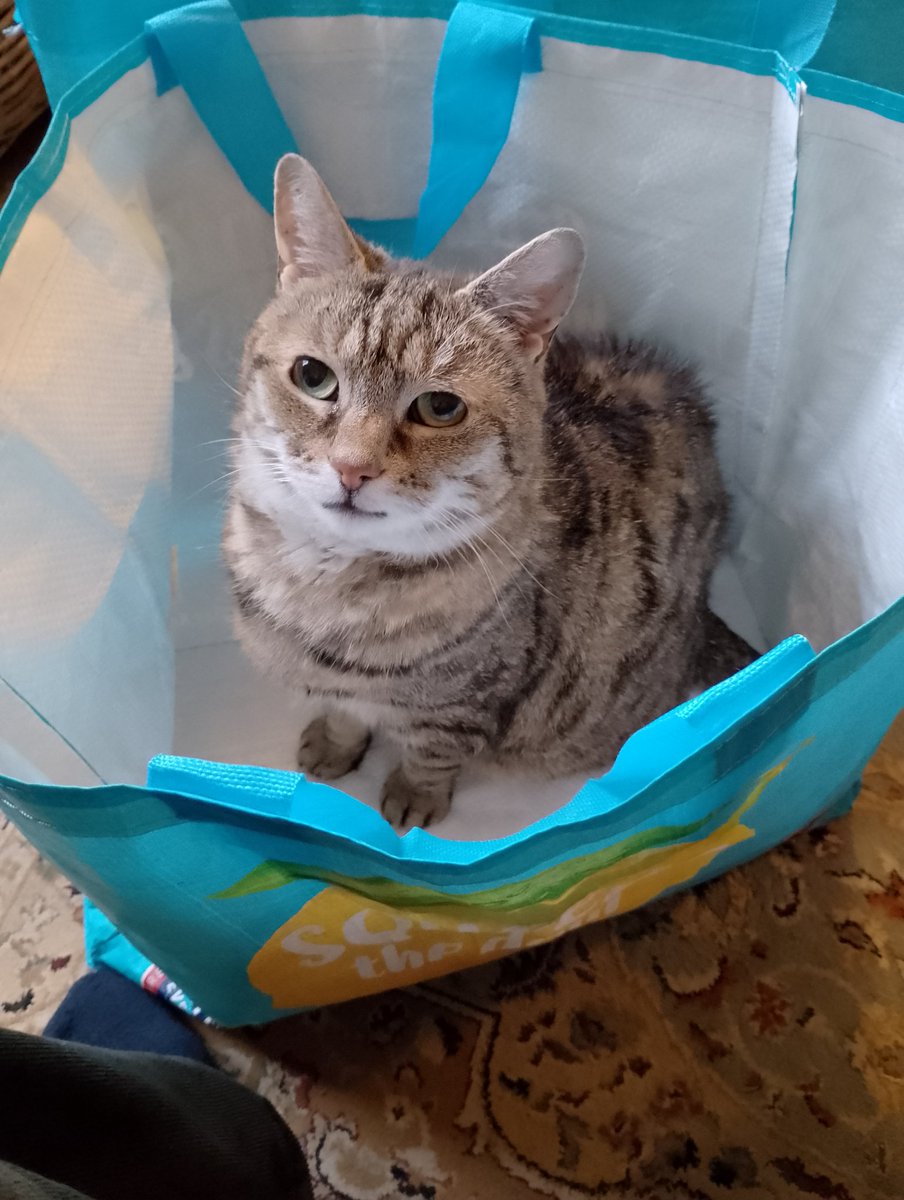 Alex Merry tweet media