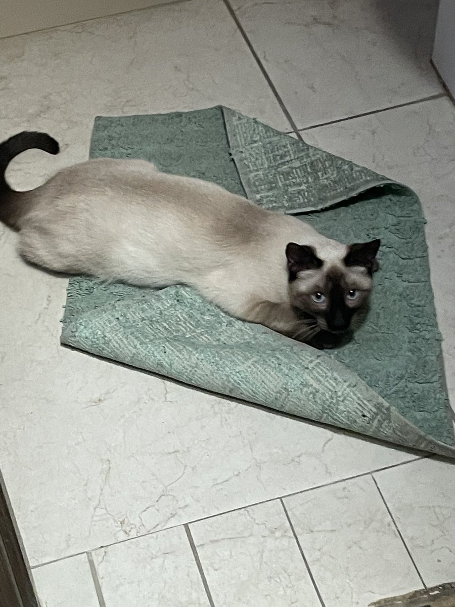 otro pomo vªcío tweet media