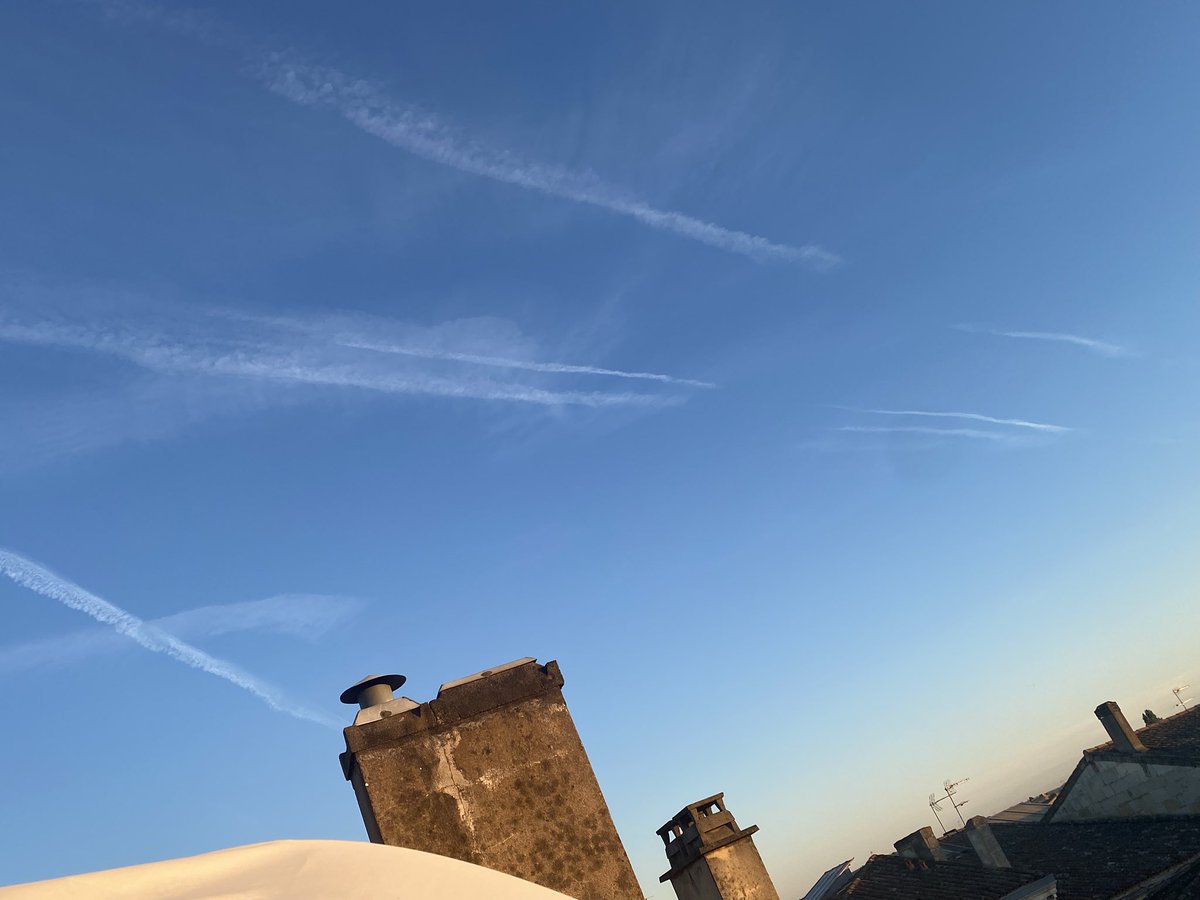 MARILYN JOHNSON tweet media