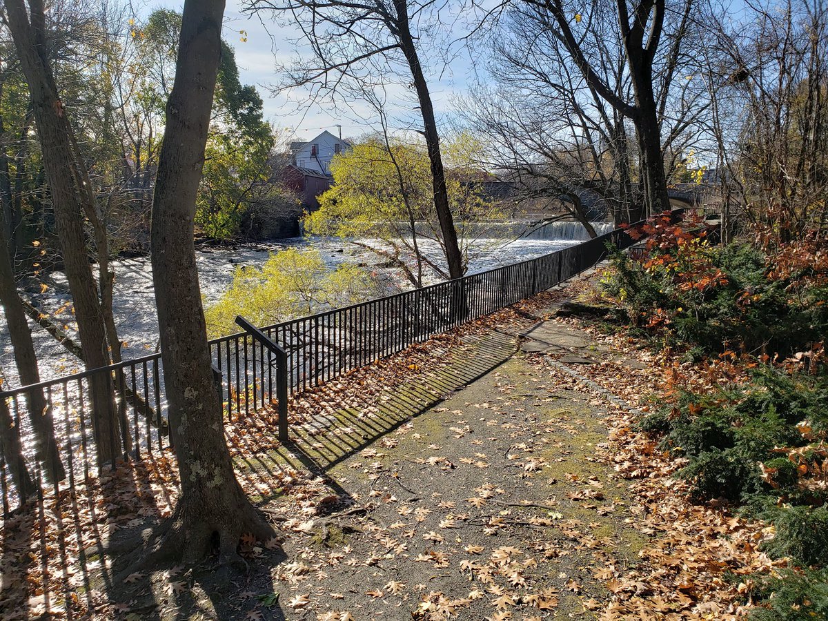 Random Public Park 🏞️ tweet media