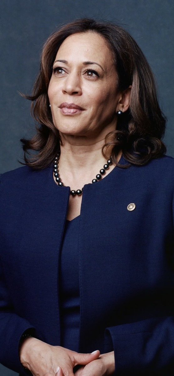 Gravelax3's tweet image. If #Kamala had been elected president 🇺🇸 #POTUS 
We would be in a different and better world