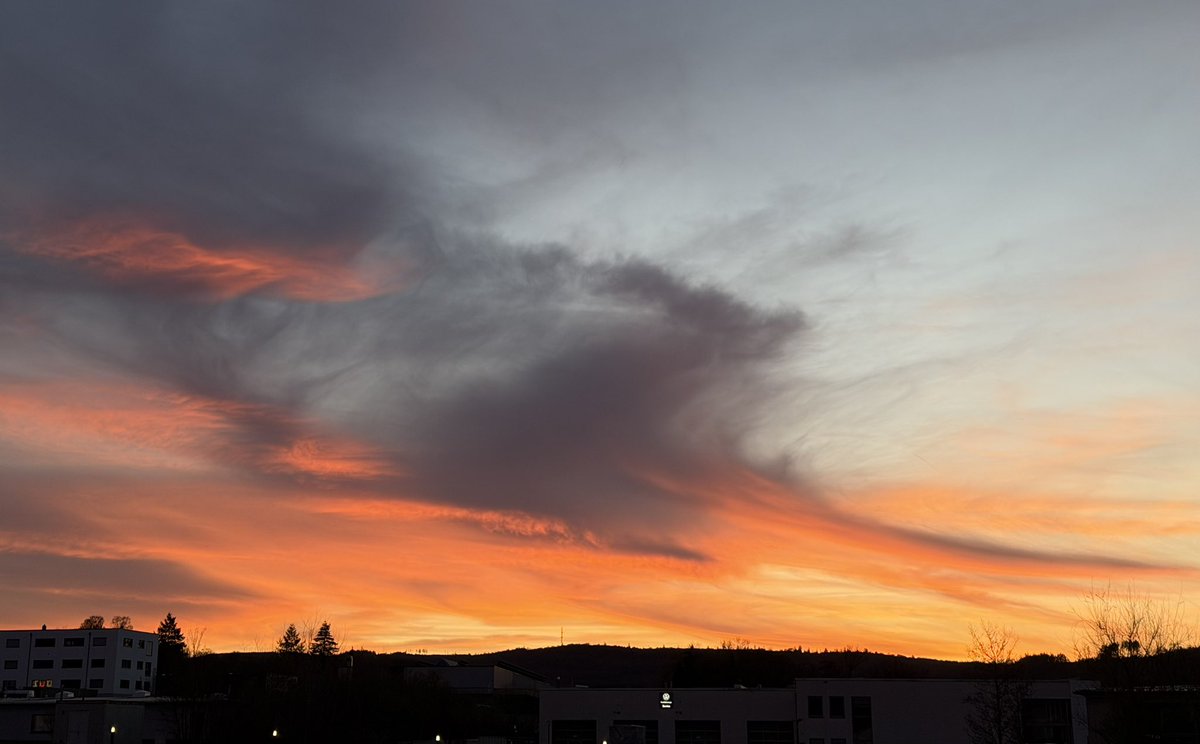 Numerobis tweet media