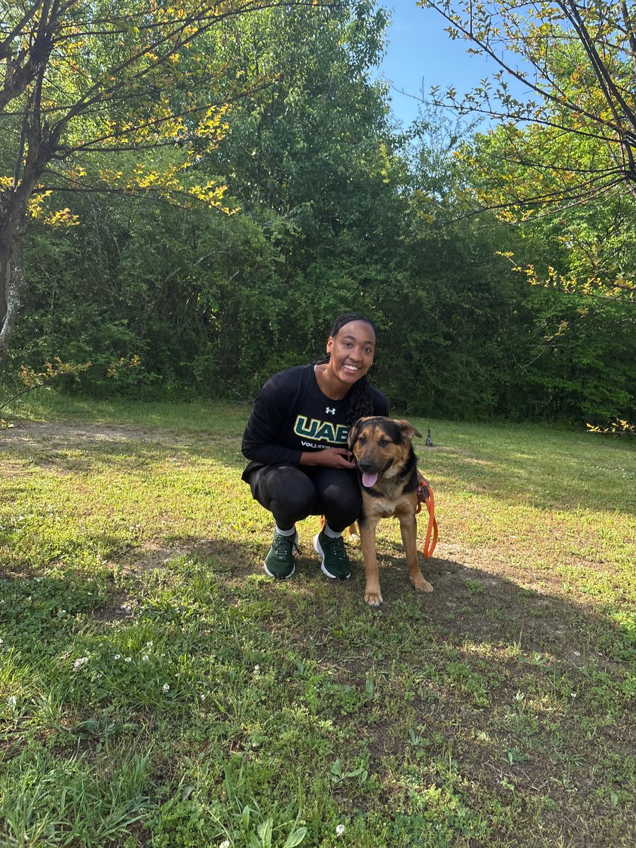 UAB Volleyball tweet media