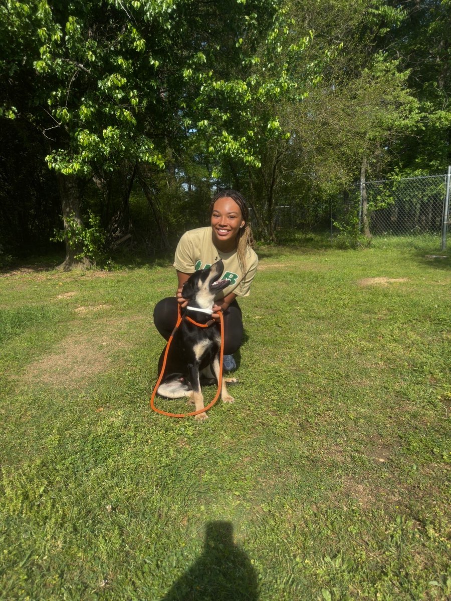 UAB Volleyball tweet media