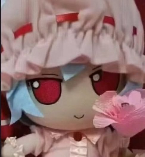 망상젤리 tweet media