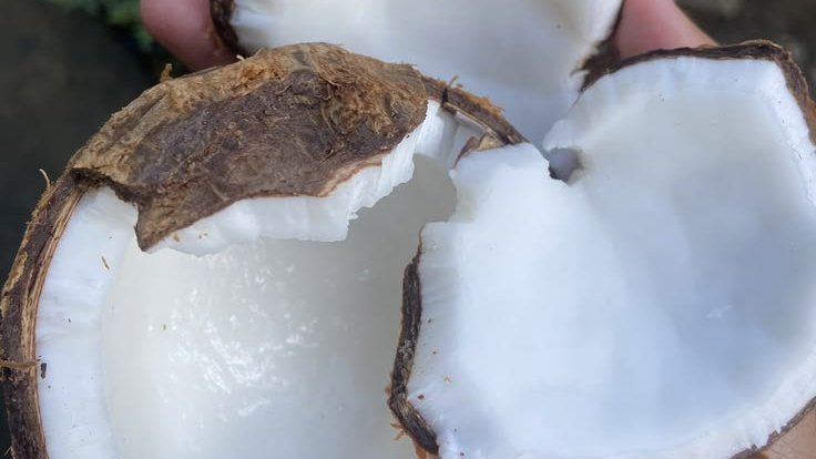 ✭𝙼𝚊𝚝𝚝𝚢✭ tweet media