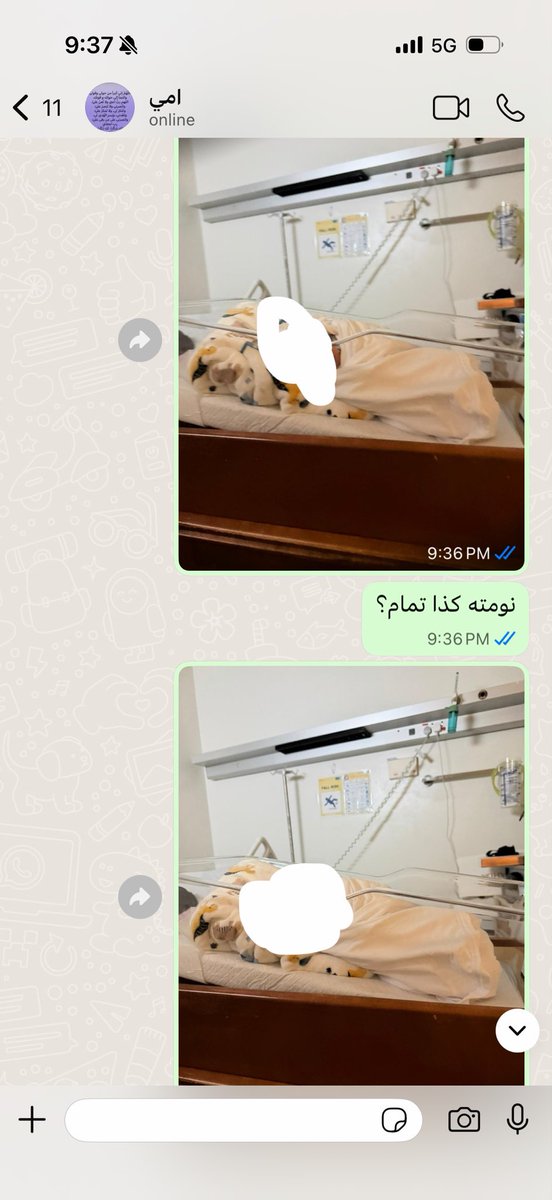 دوغماتية tweet media