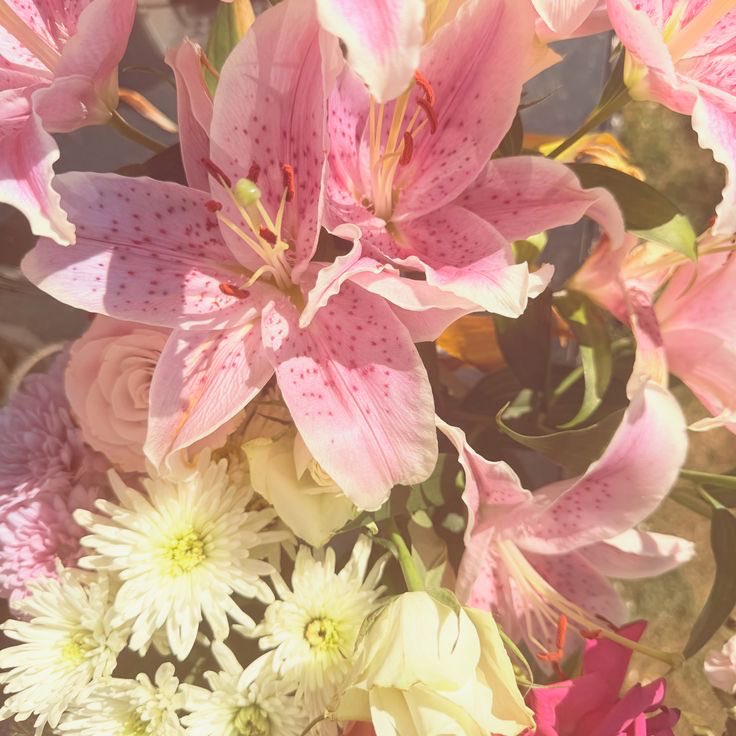 coco🪽 tweet media