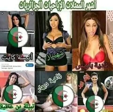 ☆ ☆ أسد المرابطين ☆ ☆ tweet media