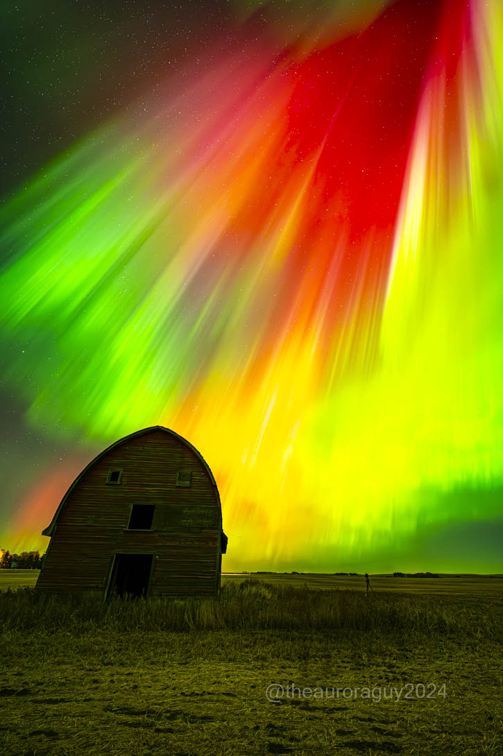 Harlan Thomas tweet media