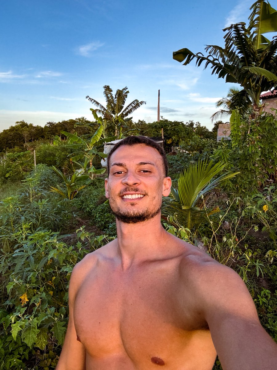 Hayner tweet media