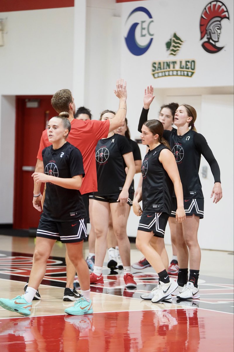 UTampaWBB's tweet photo. Back like we never left 😮‍💨

#TampaWBB🏀 #StandAsOne🛡️ https://t.co/PqDZPHi2eU