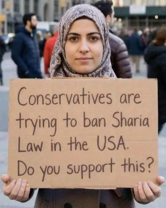 Alice 👑 tweet media