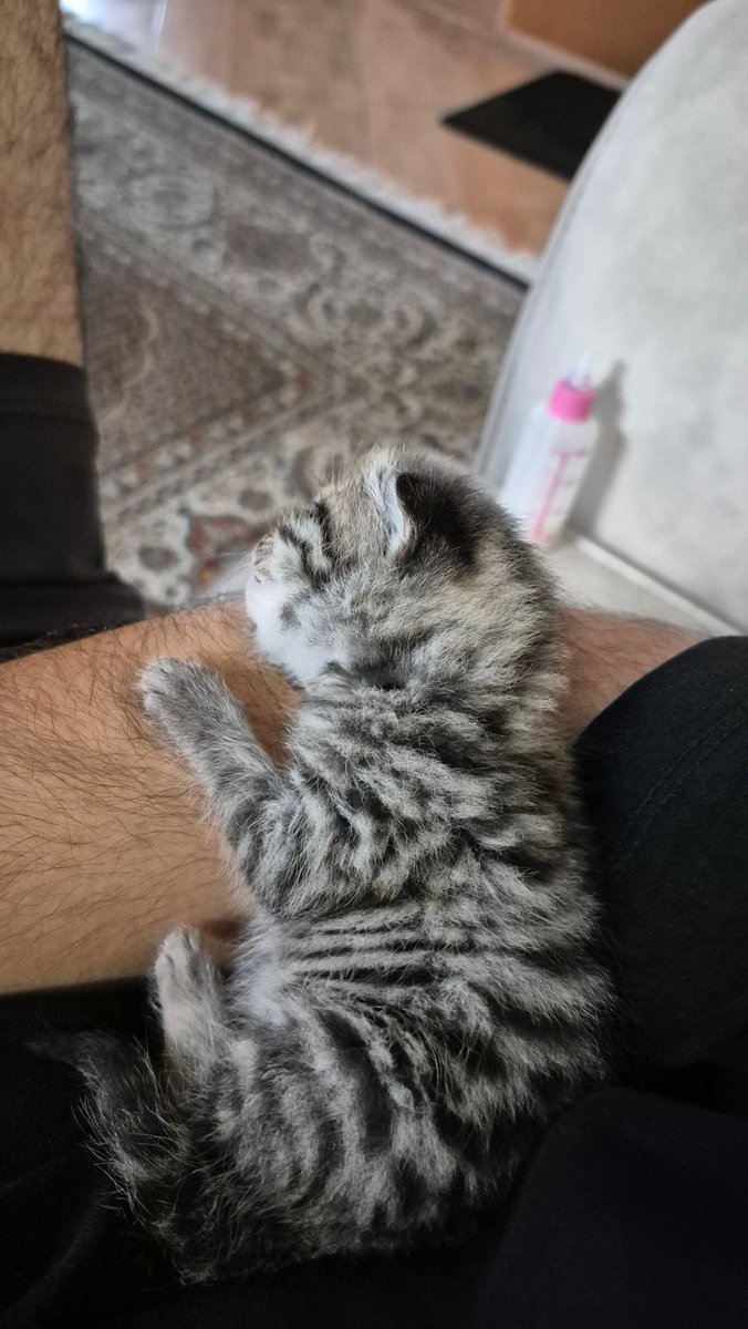 Uncle Ney tweet media