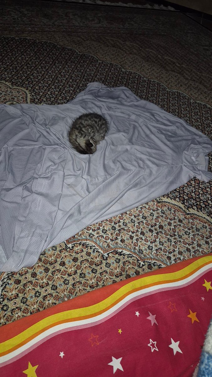 Uncle Ney tweet media