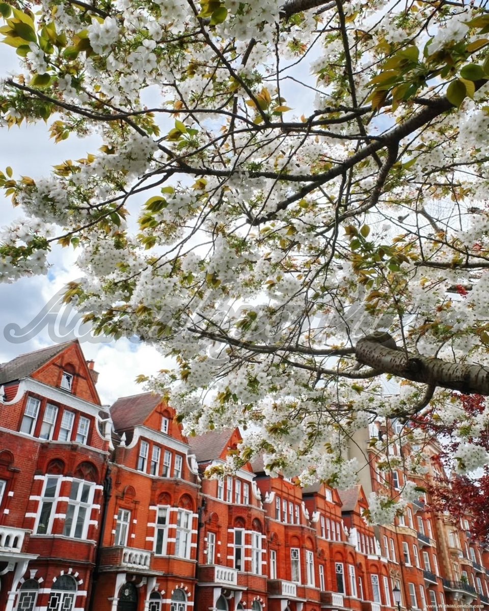 AaradhyaVibes's tweet image. तेरी बाहों की पनाह में सारा जहां सिमट जाता है,
मेरा हर एक अधूरा ख़्वाब मुकम्मल सा हो जाता है।
न जाने कैसा ये इश्क़ का जादुई असर है तुम पर,
कि तुझे देखते ही मेरा ये चेहरा 'नूर' से भर जाता है।

#AaradhyaVibes 💃
#SpringVibes