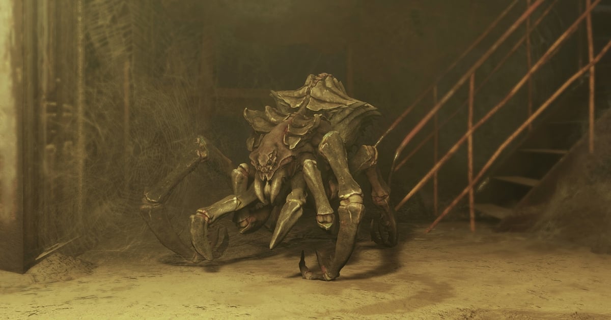 BEERENTIEL 🐑 tweet media