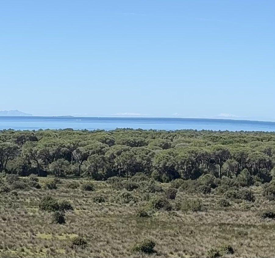 sigboy90's tweet photo. @insopportabile Confermo ... dalla Toscana si vedeva benissimo tutta la Corsica ... nella foto le strisce bianche sono le cime innevate mentre tutto a sinistra c'è Montecristo e un poco più a destra in basso Pianosa.
Una Pasquetta spettacolare 🤗 https://t.co/tiu6VTQzMB