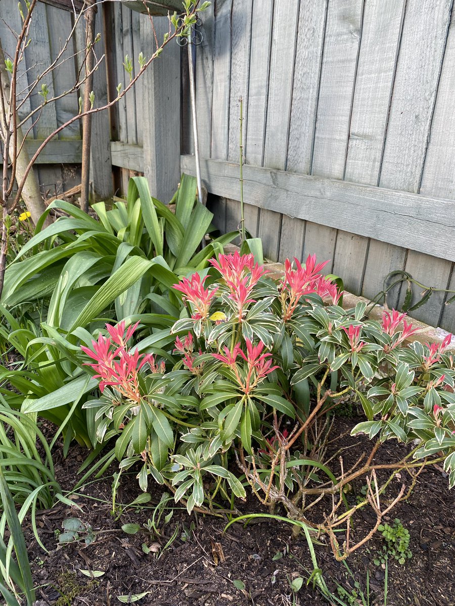 Carl Horner tweet media