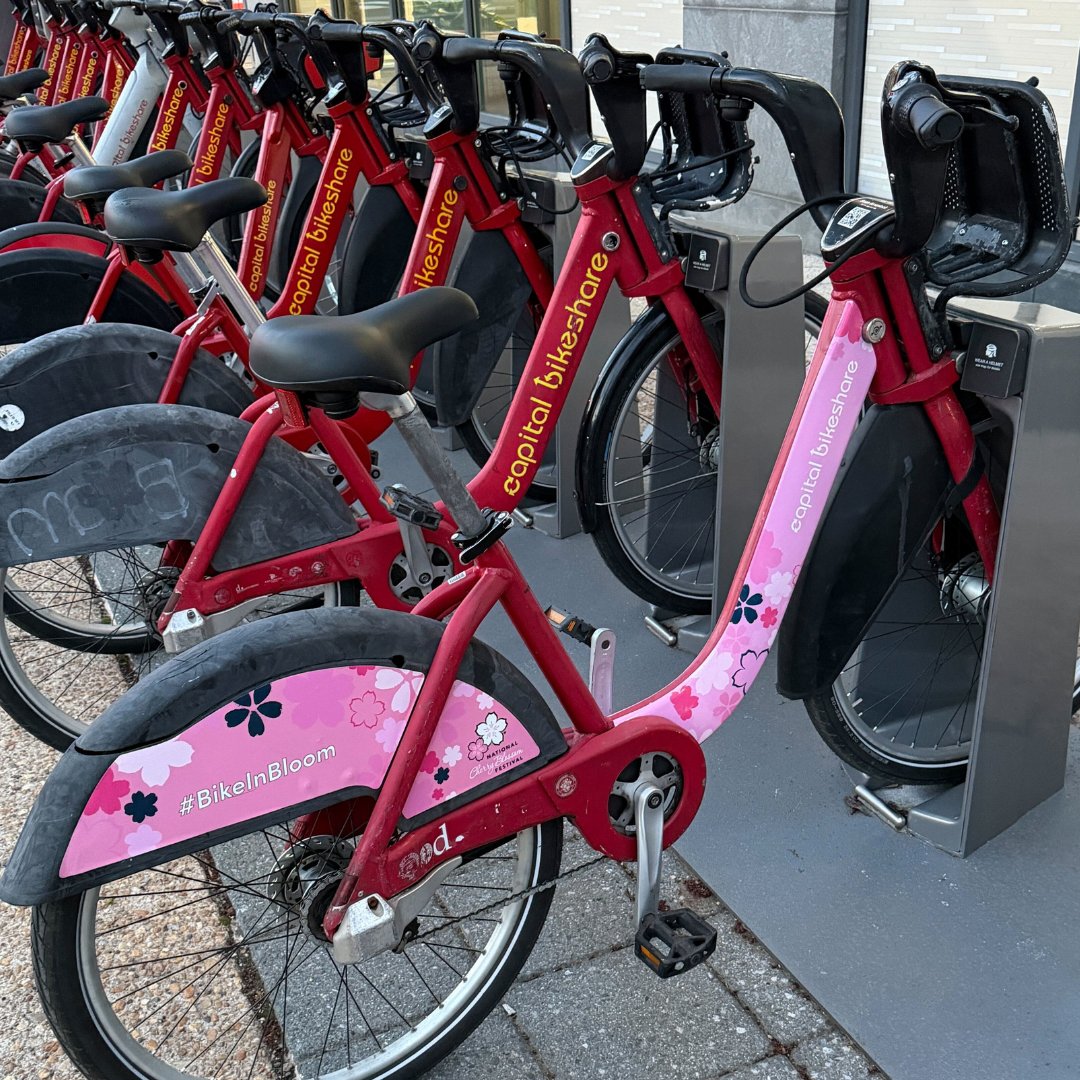 bikeshare's tweet photo. Have you spotted a #BikeInBloom yet?
Don't let the season pass you by; grab a CaBi bike or eBike, and find your own path through the petals this weekend. 🌸 https://t.co/xFVFg09njj