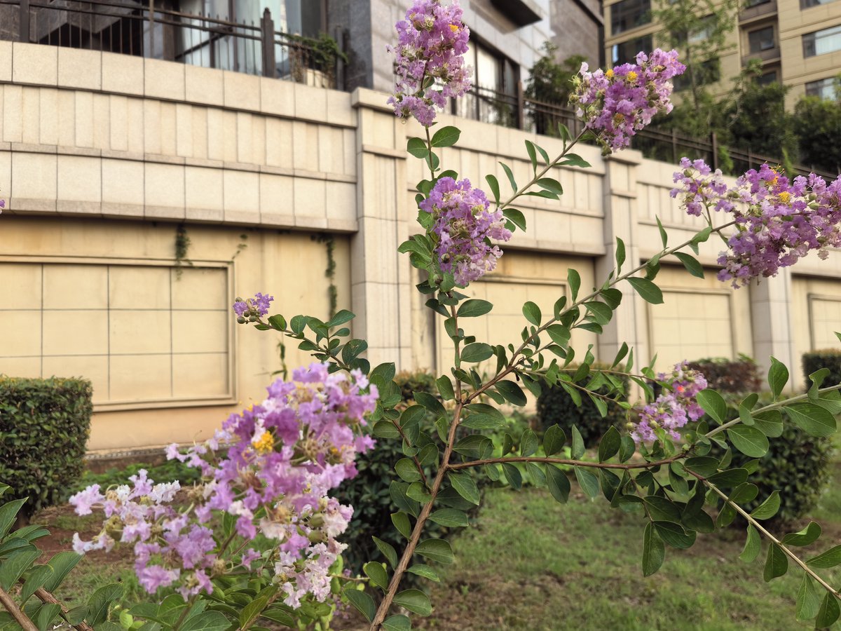 Lea Munoz tweet media