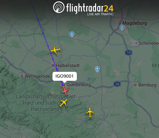 Samalexzander tweet media