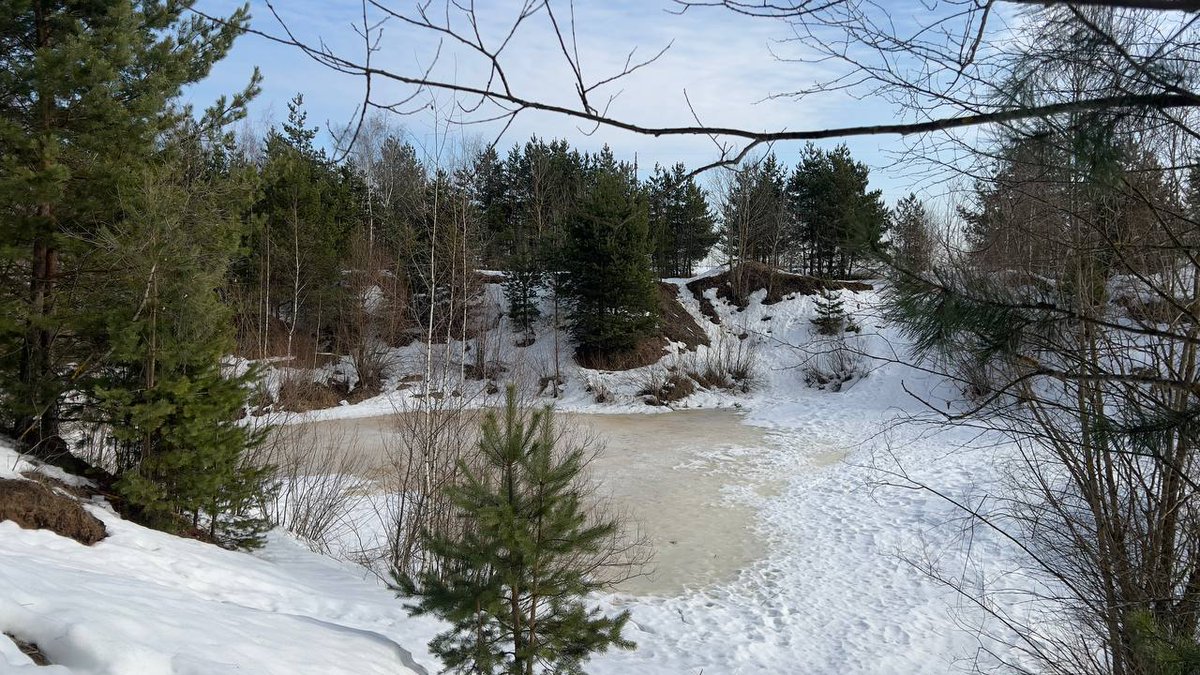 Экооборона Московской области tweet media