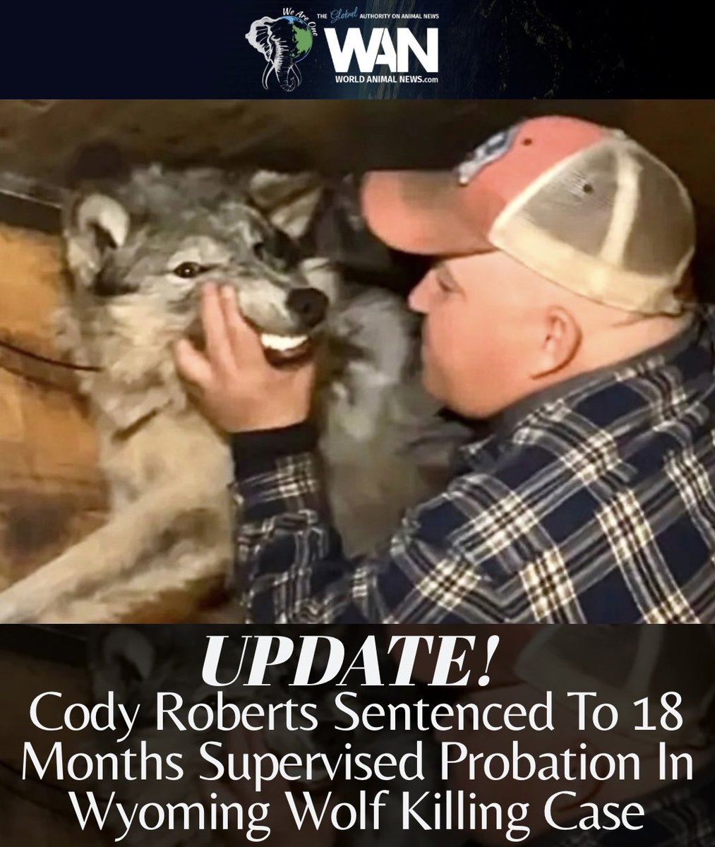 World Animal News tweet media