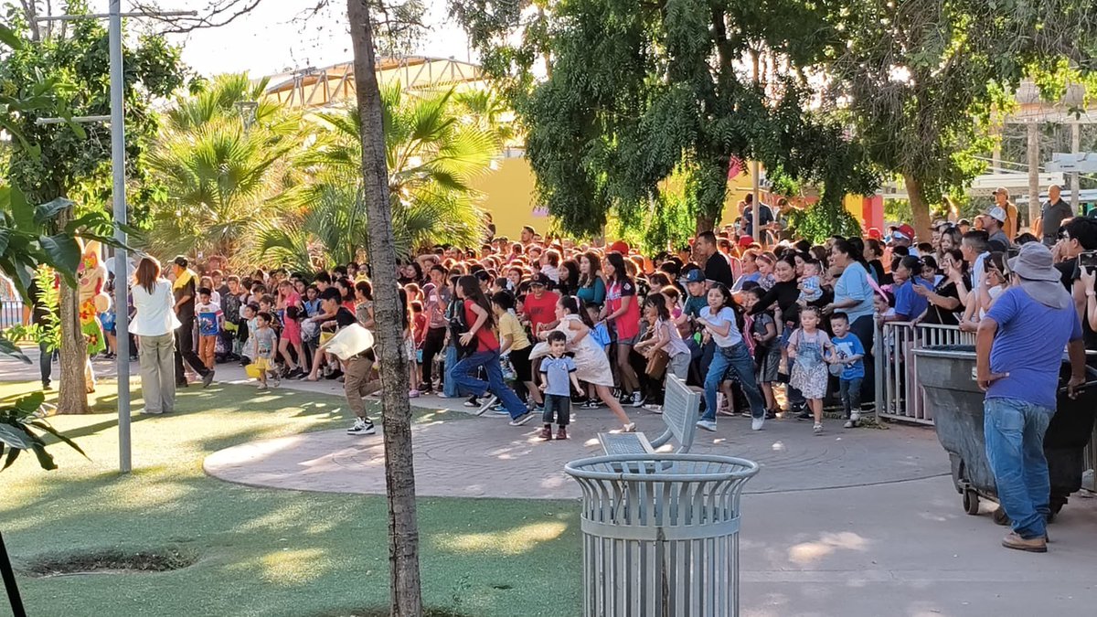 DIF Sonora tweet media