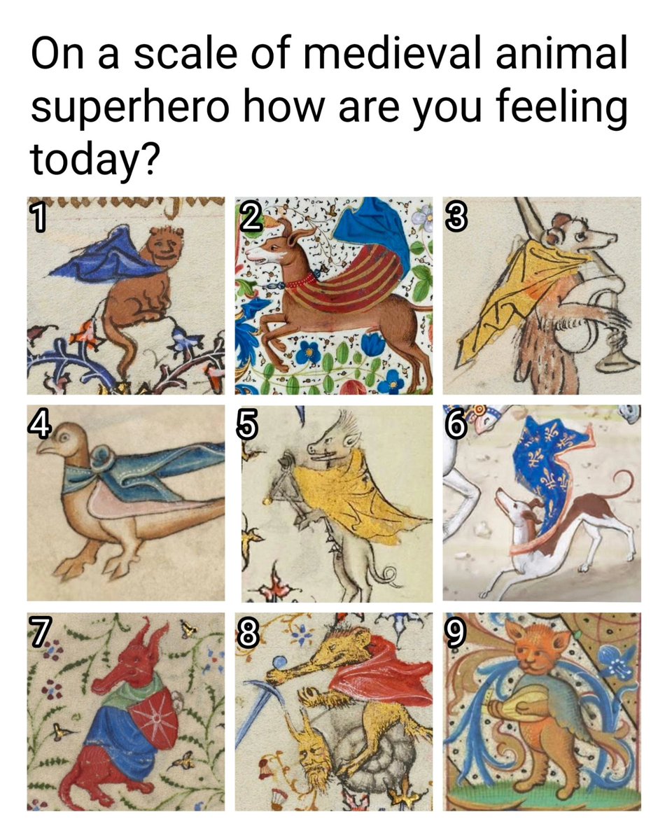 slightlycursedg's tweet photo. Im at an 8. Angry rat riding on bearded snail ready to smite with vorpal blade. I thought I might be defensive dragon at 7 or possum playing bagpipes at 3. But its definitely an 8. You? https://t.co/jeJnPHk53l