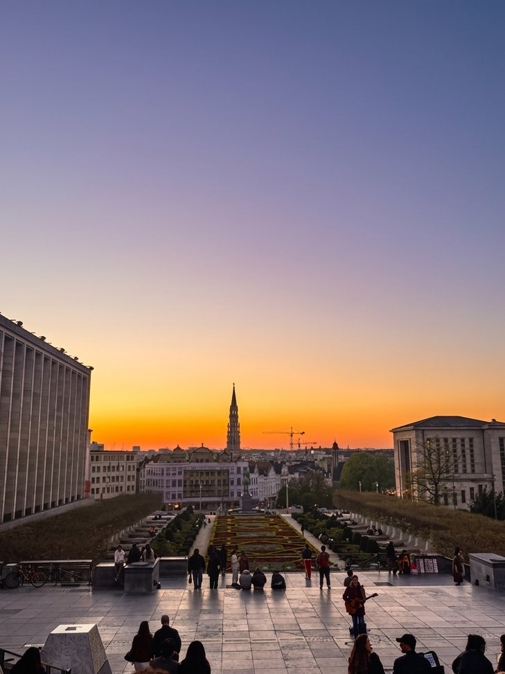 Joy Boy 🤠 tweet media