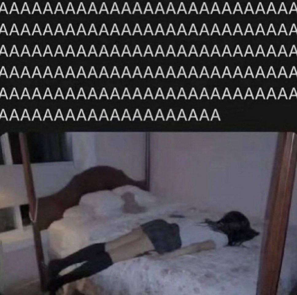 leonii⁷ tweet media