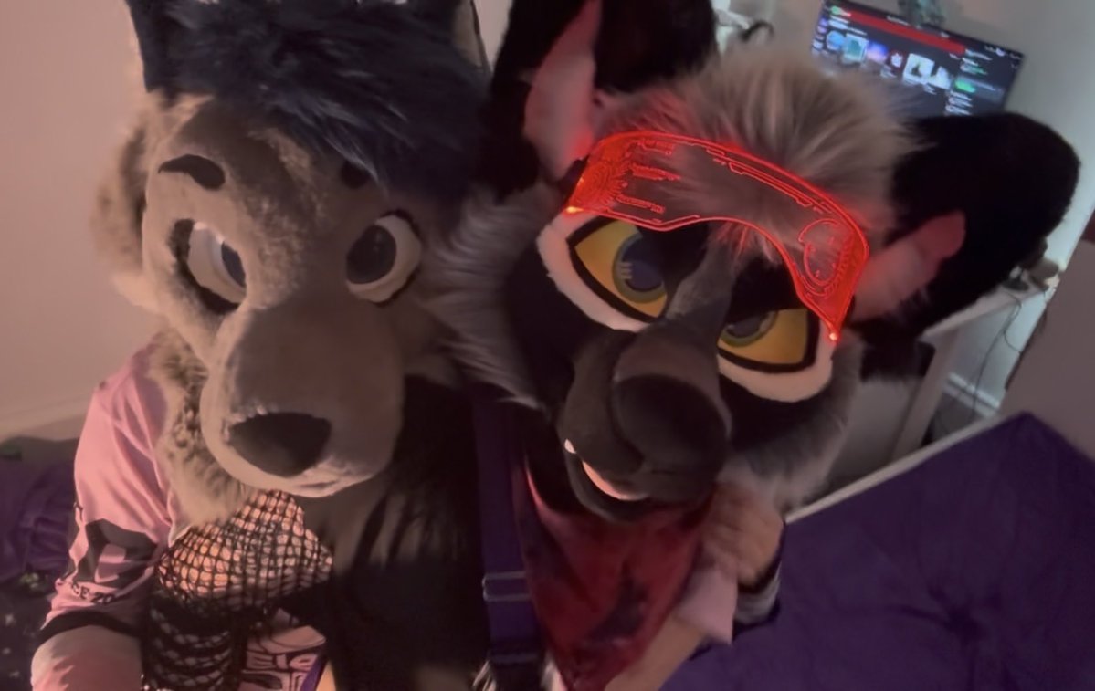 🌿Fern🌿 tweet media