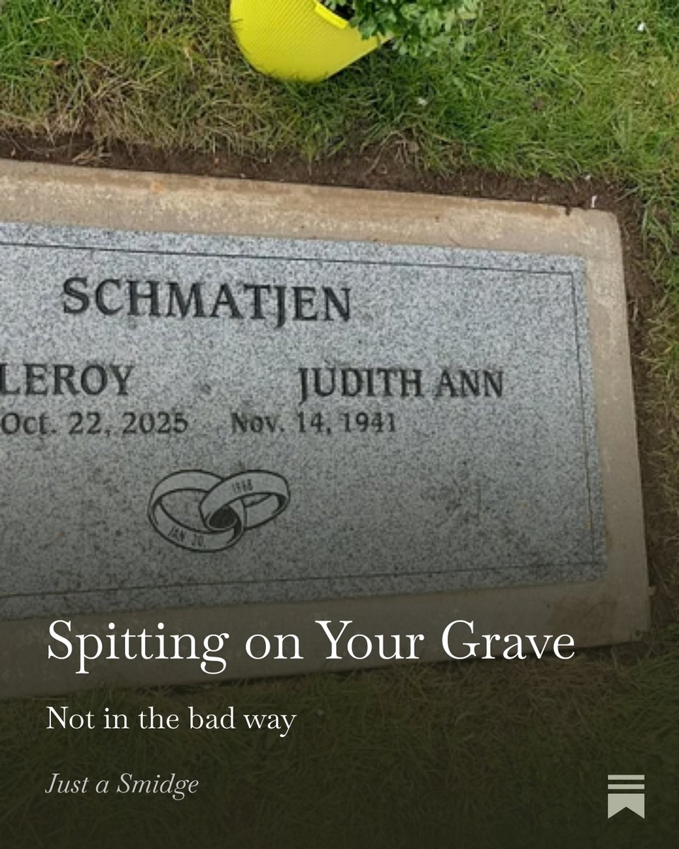 SmidgeTweets's tweet photo. The latest post is up at Just a Smidge – I believe men are far more likely to clean things with spit than women are. Sunday was no exception… - Enjoy! Spitting on Your Grave https://t.co/26suDI51xt https://t.co/ZYtxz1YR19